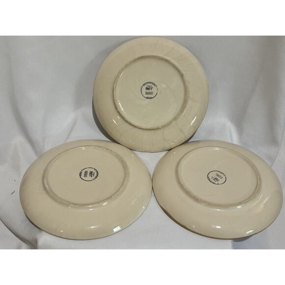 Pier 1 Moody Blooms Floral Hand Painted Ceramic 8" Salad Plates Set Of 3 - Picture 7 of 10